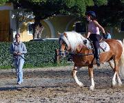 Berufsbilder -Peter Zechner