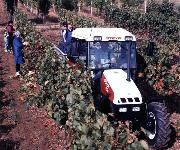 Berufsbilder -Landeskammer für Land- und Forstwirtschaft Niederösterreich