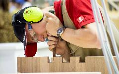 Berufsbilder -SkillsAustria