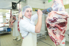 Berufsbilder -Mag.phil. Mag.art. Joanna Piestrzynska