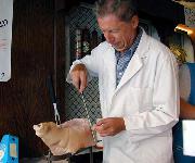 Berufsbilder -BiWi - Berufsinformation der Wiener Wirtschaft