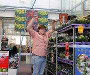 Berufsbilder -ibw, Fotowettbewerb 2012