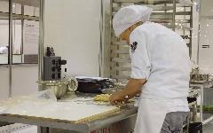 Berufsbilder -SkillsAustria