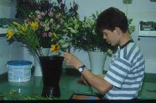 Berufsbilder -BiWi - Berufsinformation der Wiener Wirtschaft