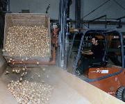 Berufsbilder -Landeskammer für Land- und Forstwirtschaft Niederösterreich