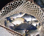 Berufsbilder -Landeskammer für Land- und Forstwirtschaft Niederösterreich