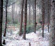 Berufsbilder -Landeskammer für Land- und Forstwirtschaft Steiermark