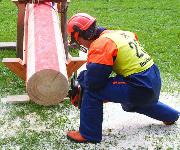 Berufsbilder -Mag. Jürgen Mück