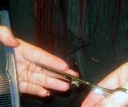 Berufsbilder -ibw, Fotowettbewerb 2007