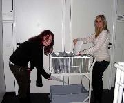 Berufsbilder -ibw, Fotowettbewerb 2007