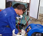 Berufsbilder -mit freundlicher Genehmigung von Skills Finland