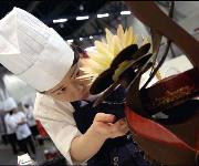 Berufsbilder -mit freundlicher Genehmigung von Skills Finland