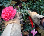 Berufsbilder -ibw, Fotowettbewerb 2007