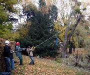 Berufsbilder -ibw, Fotowettbewerb 2007