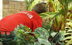 Berufsbilder -SkillsAustria