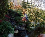 Berufsbilder -BiWi - Berufsinformation der Wiener Wirtschaft