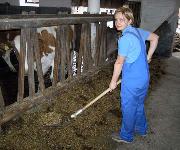 Berufsbilder -Mag. Jürgen Mück