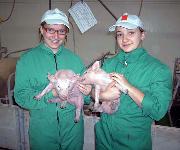 Berufsbilder -Mag. Jürgen Mück