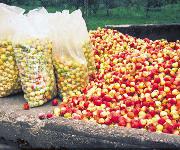 Berufsbilder -Landeskammer für Land- und Forstwirtschaft Oberösterreich