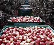 Berufsbilder -Landeskammer für Land- und Forstwirtschaft Niederösterreich