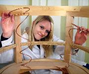 Berufsbilder -ibw, Fotowettbewerb 2007