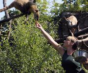 Berufsbilder -Norbert Potensky, Tiergarten Schönbrunn