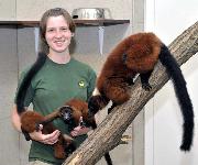 Berufsbilder -Norbert Potensky, Tiergarten Schönbrunn