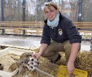 Berufsbilder -Norbert Potensky, Tiergarten Schönbrunn