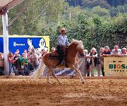 Berufsbilder -Peter Zechner