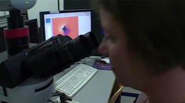 Berufsinfo-Video - FEMtech-Expertin: Tanja Lube, Werkstoffwissenschafterin