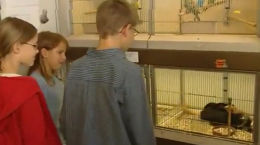 Berufsinfo-Video - WKO - Der Handel - Allgemeiner Einzelhandel