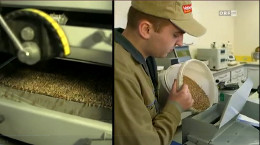 Berufsinfo-Video - WKOÖ: Lebe dein Talent. Die Lehre. -  Verfahrenstechnik für die Getreidewirtschaft - Futtermittelherstellung