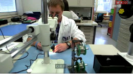 Berufsinfo-Video - WKOÖ: Lebe dein Talent. Die Lehre. - Elektronik - Angewandte Elektronik