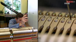 Berufsinfo-Video - WKOÖ: Lebe dein Talent. Die Lehre. - Klavierbau