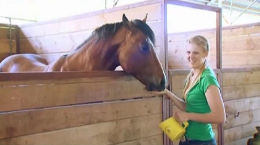 Berufsinfo-Video - PferdewirtschaftsfacharbeiterIn (Lehrberuf)