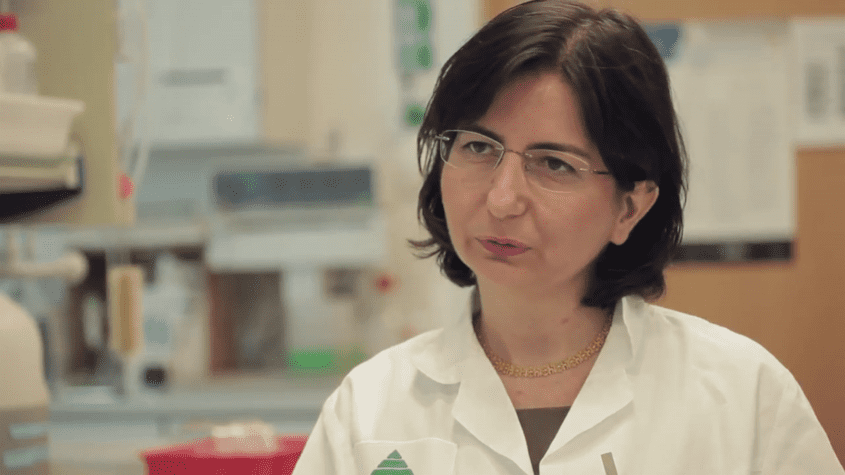 Berufsinfo-Video - Biotechnologie: FEMtech Expertinneninterview mit Parisa Ansari