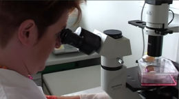 Berufsinfo-Video - FEMtech-Expertin: Eva Prieschl-Grassauer, Biologin