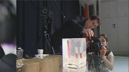 Berufsinfo-Video - MediengestalterIn (Visuelle-)